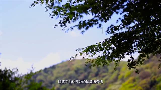 探索无尽乐趣,尽在初一到初三的20篇文言文问答交流平台